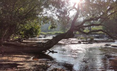 coorg package