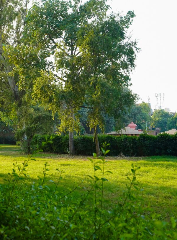 Escapade Himachal Package