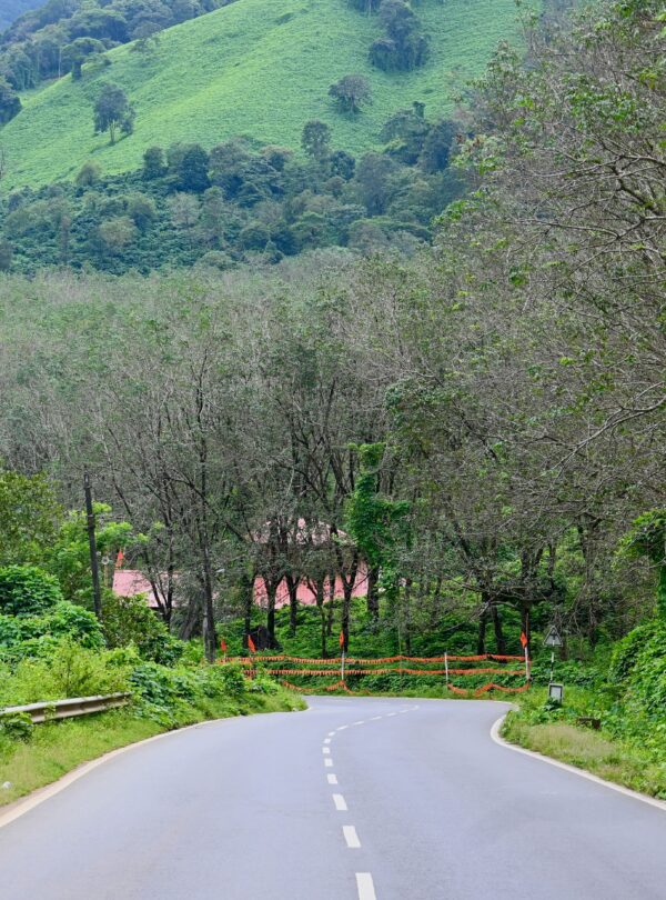 coorg package