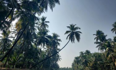 Gokarna Package